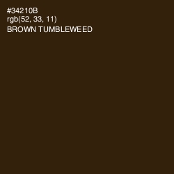 #34210B - Brown Tumbleweed Color Image